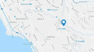 Karte: Selfstorage Zürich, Forchstrasse